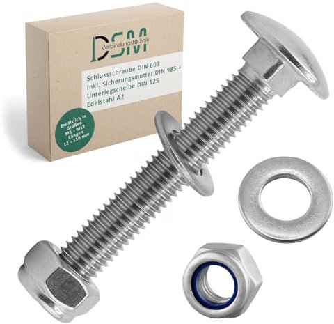 DSM - Boulons M10 x 120 mm Conforme à DIN 603 - M10 Écrou de blocage DIN 985 & Rondelle DIN 125 - Acier Inoxydable A2/V2A - Vis à tête bombée à collet carré - Écrous d'arrêt - Lot de 10