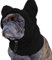 YHZNAGEM Wintermütze und Schal für Hunde, Warme Hundemütze, Hundehaube Wintermütze, Ohrenschützer Warme Kappe für Kleine Hunde, Halswärmer-Schal für Haustiere (Schwarz, M)