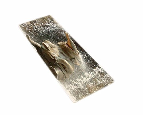 A.Monamour Badematten Badteppiche Badvorleger Baby Elefant Spielt Im Wasser Bild Grafik Gedruckt Weichen Flanell Gummi rutschfeste Bad Teppich Fußmatte Fußmatten Für Bad Zubehör 40x120 cm / 15x46