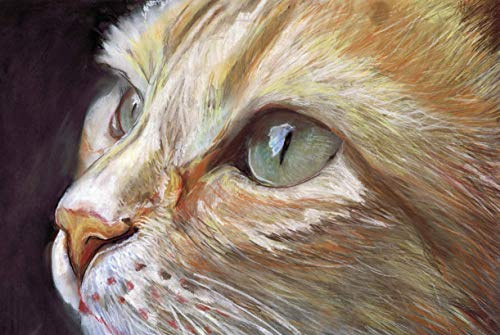 Ginger Cat Art Print – Pastel Feline Cat Illustration Wall Art