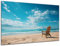 DARO Design - Wand-Bild auf 6mm HDF 30x20 cm Stuhl am Strand - Wand-Deko Bilder Geschenk