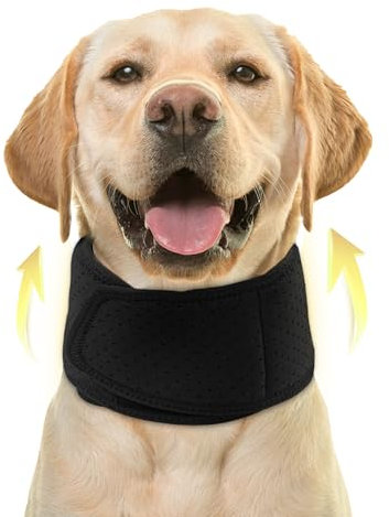 Pro Vet Designed Dog Neck Brace with Extra Verstärkung, Post-Operations Support Collar, Adjustable Dog Cone Alternative, Breathable and Comfortable for Dogs and Cats Recovery, Anti-Lecking Protection