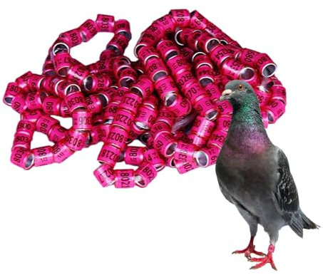 Fukamou Vogel-Fußringe, Tauben-Identifizierungsringe | Taubenringe 50 Stück | Pigeon Supplies -Bänder, Vogelfußringe, Pegeon-Zubehör Für Rennpapageien, Küken, Enten