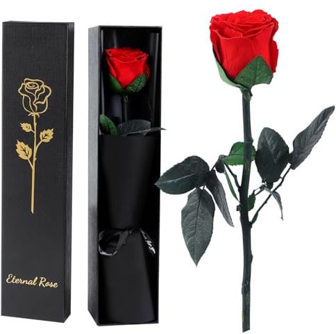 Ewige Infinity Rose Rot mit Stiel, Geschenke für Frauen, Ewige Rose in Geschenkbox, Konservierte Blume für Mama Freundin, Geburtstagsgeschenk Jahrestag Geschenk Frau (Rot) (Rot)