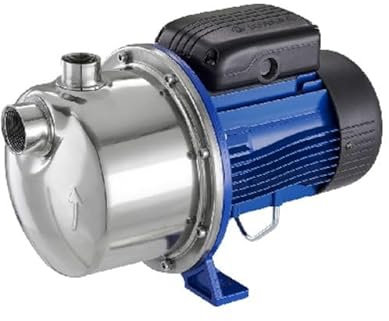 Elektrische Pumpe, selbstansaugend, Jet Lowara, 0,75 kW, 1,1 PS, einphasig