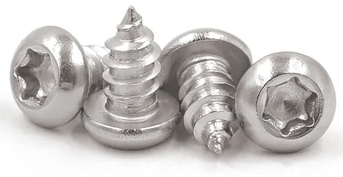 Torx Lot de 100 vis à tôle M3 x 8 mm, en acier inoxydable 304, vis à bois autoforeuses