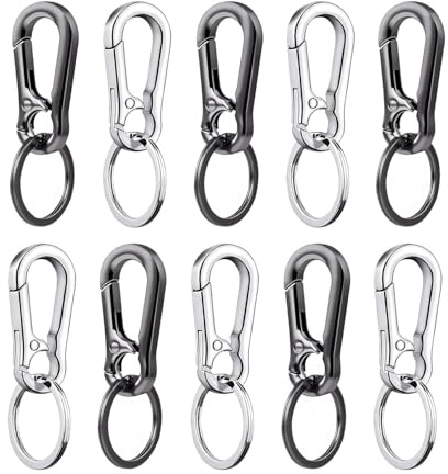 10 Stück Karabinerhaken Klein Karabiner Schlüsselanhänger Klein Schlüsselring mit Karabiner Geeignet für Schlüssel, Rucksäcke und Anhänger, Praktisch zum Mitnehmen
