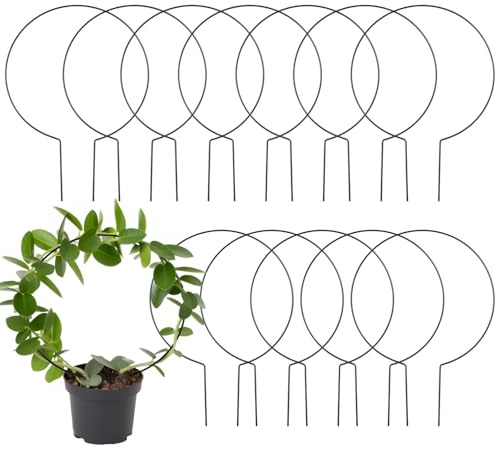 12 Metall Rankgitter Set für Kletterpflanzen 13,4 x 9,4 Zoll Indoor Pflanzenstützrahmen für Pothos und Rostfreies schwarzes Eisen