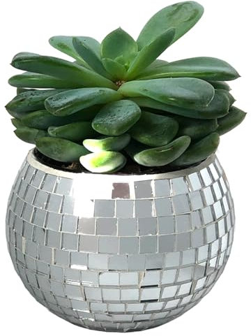 BusyPet Mini-Discokugel-Pflanzgefäß (silberfarben) Mini-Vase für den Innenbereich, für Eukalyptus-Pflanzen für Dusche, Einweihungsgeschenkideen, niedliches Schreibtischzubehör, ästhetisches Dekor,