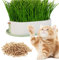 JXJZGDM Cat Grass Seeds, Wheat Grass for Cats, Soil-Free Hydroponic Cat Grass, Easy to Operate, Low Maintenance, Cat Grass Seed for Indoor Cats(Pink)