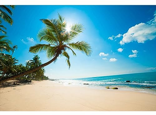 YongFoto 3x2m Vinyl Foto Hintergrund Strand Meer Küste Landschaft Blauer Himmel Weiße Wolken Palme Fotografie Hintergrund für Fotos Fotoshooting Baby Party Banner Kinder Fotostudio Requisiten