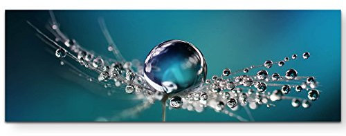Paul Sinus Art Leinwandbilder | Bilder Leinwand 150x50cm Wassertropfen auf einer Pusteblume