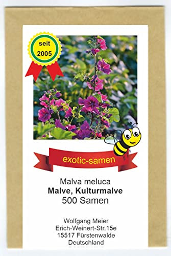 Kulturmalve - Malva meluca - unübertroffene Hummel- und Bienenweide - 500 Samen