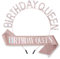 WLLHYF Geburtstag Königin Schärpe Kristall Stirnband Set Strass Tiara Bling Glitzer Kronen Haarband Prinzessin Tiara Sweet Happy Birthday Dekorationen Zubehör für Frauen Mädchen