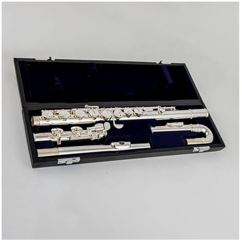 Querflöte Instrument Altflöte G-Stimmung, 16 Geschlossene Klappen, Versilbert, Professionelles Flöteninstrument Mit Koffer