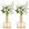 YAYODS 2 Stück Reagenzglas Vase mit Metallrahmen - Blumenvase Glas - Deko Vase Klein für Blumen, Trockenblumen, Wohndekoration, Hochzeitsaccessoires