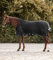 Waldhausen Outdoordecke Scandic, High Neck, 200 g, schwarz, 145 cm