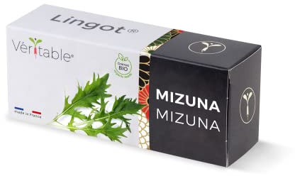 Véritable Lingot® Mizuna BIO - Compatibile con Orti Interni Exky® - Ricarica pronta all'Uso - Substrato con Semi Integrati