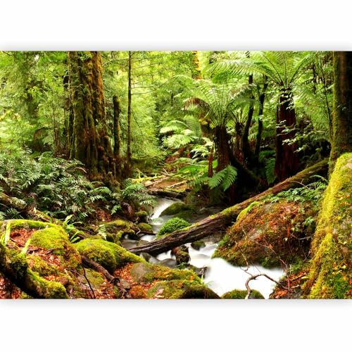 murando - Papier peint panoramique paysage 350x256 cm - Revêtement mural décoration salon - Design moderne - Arbres jungle forêt feuilles nature plantes rivière cascade c-B-0536-a-a