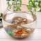 OUMIFA Aquarium Runde transparente Kristallglasschüssel Klare Kugel Vase Aque Tank Wasserglas