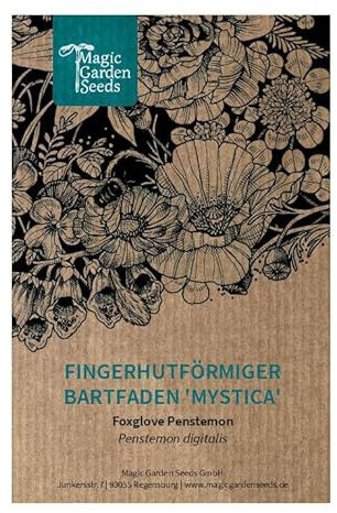 Fingerhutförmiger Bartfaden 'Mystica' (Penstemon digitalis) ca. 180 Samen winterharte mehrjährige Staude Bienenweide Schnittblume