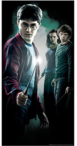 Rubies 5000089 Harry Potter Decorative Door Cover, Plastic