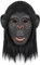 TINAYAUE Weiche Gorilla Maske Gruseliger Affe Maske Atmungsaktive Tiermasken aus Latex Lustige Schimpansen Maske Realistische Tier Masken für Karneval, Halloween，Cosplay, Motto Party