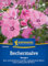 Kiepenkerl Bechermalvensamen Tanagra 1063360 - Beet- und Schnittblume mit großen, seidig glänzenden Malvenblüten - Pflanzen, Blumensamen, Saatgut
