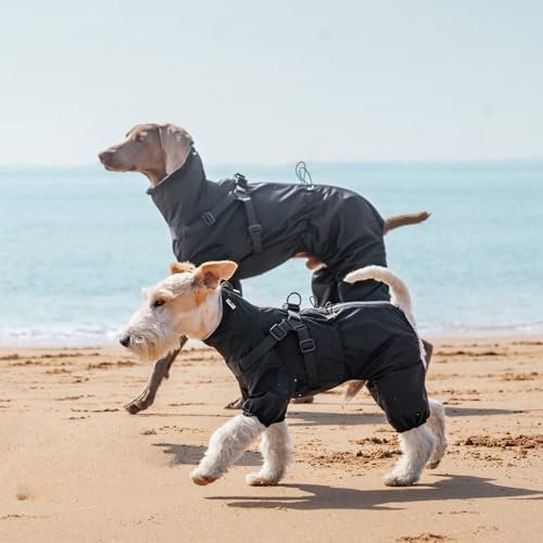 PAWBOSE Regenmantel Hund mit Geschirr Wasserdicht für Kleine, Mittlere und Große Hunde, Reflektierender Regenfester Hunderegenjacke für Sommer, Schöne Hübsche Hundekleidung, 4 Beine, Grau, M