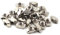 M5 Thread T-Nut for 20 Series European Aluminium Profile Hammer Head Drop in T Slot Nuts 100 Pack Nickel Plated Carbon Steel 100 PCS