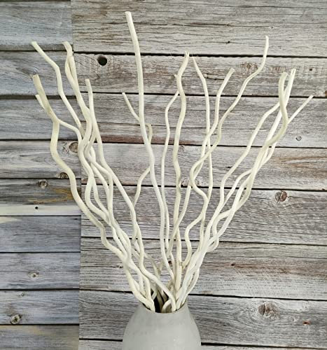 DongArts 58 cm de Long Branches de Saule frisé, 100% Naturel Branches frisées séchées, 14 tiges sans Petites Mini-courges pour la décoration, Blanc