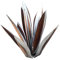 ILGUN Metall-Agave Pflanze, Neue Metall-Agave Pflanzen Große Tequila Rustikale Skulptur, Metall-Agave Pflanze Garten Kunst Tequila Rustikale Garten Skulptur Statue Kunst Deko(a-8,L)