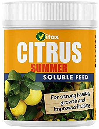 Vitax Citrus Summer Feed (200g) X 4