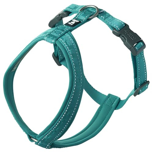 Hurtta Casual Y-Harness ECO Peacock 50-60