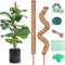 NEOVSUNY Monstera Rankhilfe, 2 Stück 120cm Pflanzstab Kokos,Biegsame Pflanzenstütze Moosstab für Monstera,Kokosstab für Pflanzen,Pflanzstab Rankhilfen,Monstera Stab für Kletterpflanzen Pflanzenstütze