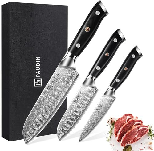 PAUDIN Damastmesser set, Messerset 3-teilig, Damast Küchenmesserset mit Ultra Scharfes Santokumesser Küchenmesser aus 67 Schichten Damaststahl mit Japanischem VG10 Stahl Kern, Ergonomischer G10 Griff