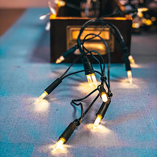 hellum Lichterkette 80 Lichter klar, Mini Lichterkette außen, Weihnachtsbaum, Party 21.85m <59 Lumen, Kabelfarbe grün 152531