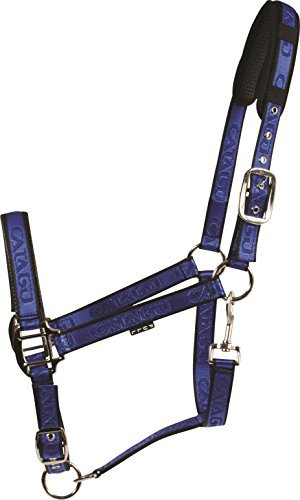 CATAGO Pony Halfter Small Royal Blue/Black