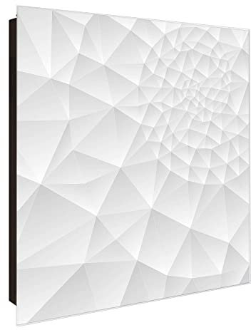 banjado Großer Schlüsselkasten Glas - Schlüsselbox 30x30cm mit 50 Haken - Schlüsselkasten modern für Schlüsselaufbewahrung mit beschreibbarer, magnetischer Glastür - Motiv Nautilus