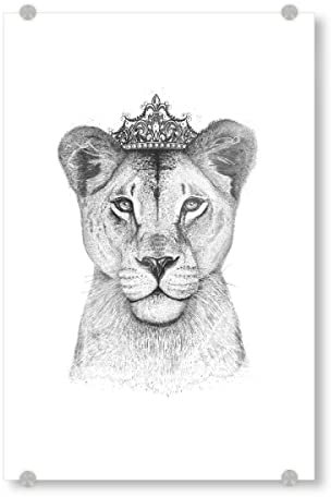 artboxONE Acrylglasbild 90x60 cm Glasbild Tiere The Lioness Queen Bild hinter Acrylglas - Bild löwin königin löwe