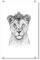 artboxONE Acrylglasbild 90x60 cm Glasbild Tiere The Lioness Queen Bild hinter Acrylglas - Bild löwin königin löwe