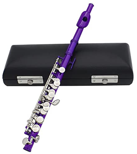 Zengxue Querflöte Anfänger Flute C Key Piccolo Halbgröße Flöte Silber Überzogene Cupronickel Mit Gepolsterten Kastenflötenzubehör (Color : Purple)