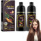 Dyceittdia 2pcs Champú Tinte, Champú tinte instantáneo, 3 en 1 Instantáneo Champú para el Cabello Negro, Hidratación Capilar, Champú limpiador y Reparador, marrón,2pcs*100ml, hair4