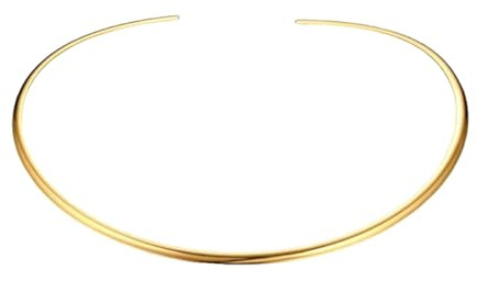 JOINPAYA Collana Girocollo Donna Rotonda Oro in Acciaio Inox | Gioiello Fashion per Party e Cosplay, Profilo Minimalista, Design Aderente al Collo
