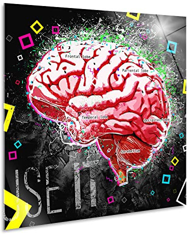 Giallobus - Gemälde - Gehirn - Acrylglas - 35x35 - Bereit zum Aufhängen - Moderne Gemälde für zu Hause