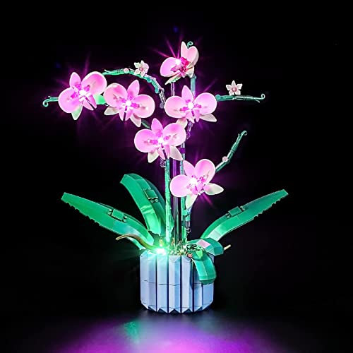 YEABRICKS Kit Luci a LED per Lego 10311 Creator Orchid Modello da Costruire (Set Lego NON Incluso)
