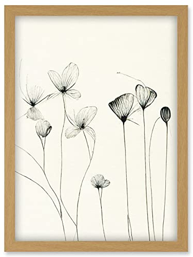 Doppelganger33 LTD Stylish Flower Illustration Line Drawing With Black Ink Artwork Framed Wall Art Print A4