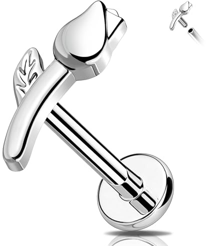 Melighting Titan Helix Ohrring Rose Labret Stud 16G Knorpel Ohrring Innengewinde Flat Back Ohrring CZ Tragus Piercing Schmuck, 16g 8mm, Titan
