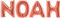 Toyland® 40-Zoll-Folienballons aus Roségold - Noah