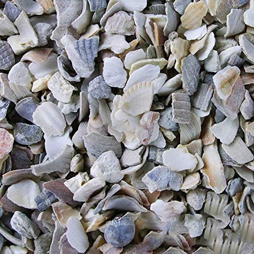 BusyBeaks Hen Sized Oyster Shell | Premium High in Calcium Poultry Grit | Enhances Strong Bones Digestion System and Quality of Eggs | Chicken Hen Animal Wildlife Mixture | Natural Food Mix (25kg)